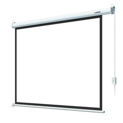 Lumien Eco Control LEC-100119 Экран с электроприводом 1
