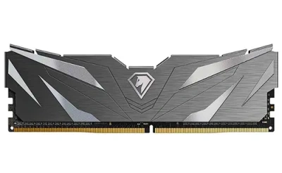 Netac NTSWD4P26SP-16K 16GB Модуль памяти