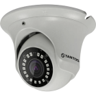 Tantos TSi-Ee50FP (3.6) IP камера