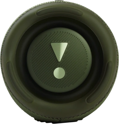 JBL JBLCHARGE5GRN Портативная колонка 3
