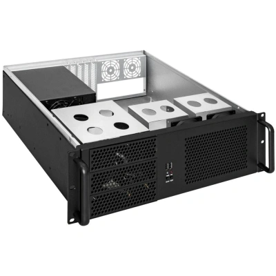 ExeGate Pro 3U390-08 EX293184RUS Серверный корпус 1