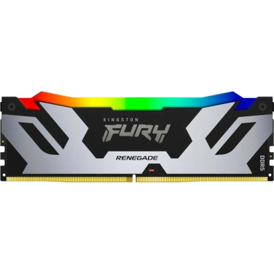 Kingston FURY Renegade Silver RGB KF588CU42RSA-24 Модуль памяти 1