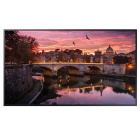 Samsung QB75R LED панель