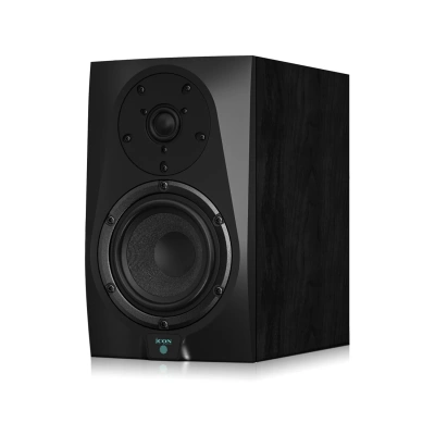 Icon DT-6S 110302A1001 Акустическая система 1