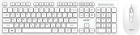 Acer OCC503 ZL.ACC11.00L Клавиатура + мышь