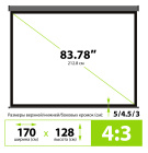 Cactus Wallscreen CS-PSW-128X170-SG Экран 2
