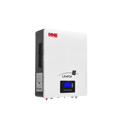 MNB BATTERY LFPW-51.2-100 LCD Аккумулятор 2