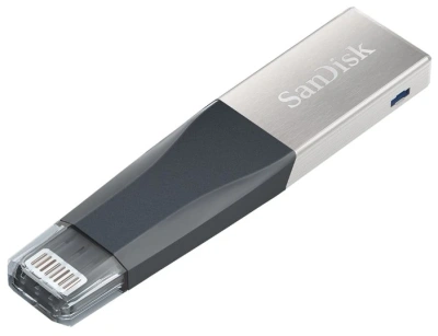 SanDisk iXpand Mini SDIX40N-016G-GN6NN Флеш накопитель 1