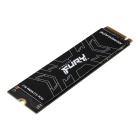 Kingston Fury Renegade 1000Gb (SFYRS/1000G) Твердотельный накопитель 2