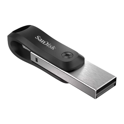 SanDisk iXpand Go SDIX60N-256G-GN6NE Флэш-накопитель 3