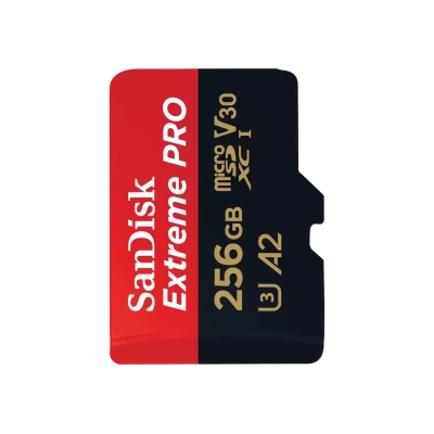 Sandisk SDSQXCD-256G-GN6MA Карта памяти 1