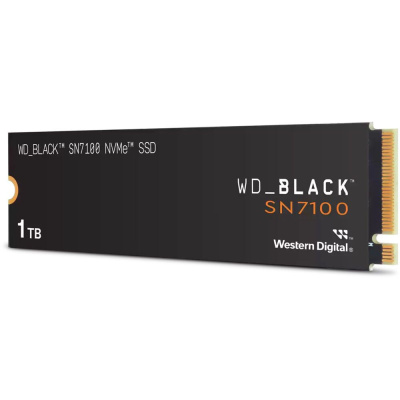Western WDS100T4X0E Твердотельный накопитель SSD 1
