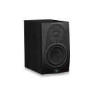 Icon DT-5S 110302A1000 Акустическая система