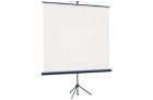 Lumien Eco View LEV-100115 Экран на штативе 2