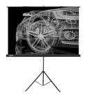 Cactus Triscreen CS-PST-124X221 Экран