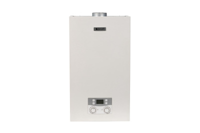 Бастион SKAT BG SILVER 12 Настенный газовый котел 1