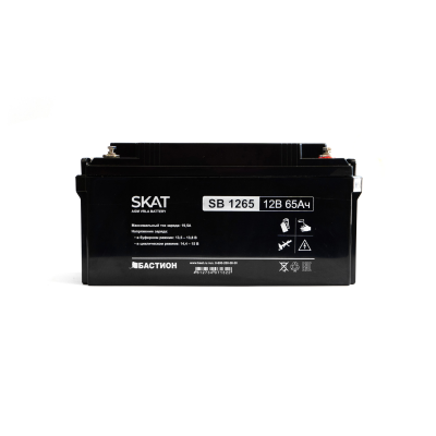 Bastion SKAT SB 1265 Аккумулятор свинцово-кислотный   1
