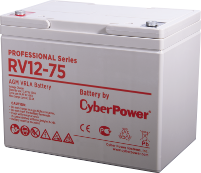 CyberPower Professional Series RV 12-75 Аккумулятор  1
