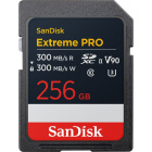 SanDisk SDSDХDM-256G-GN4IN Карта памяти