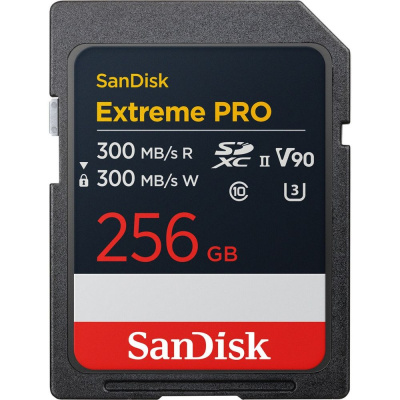 SanDisk SDSDХDM-256G-GN4IN Карта памяти