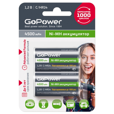 GoPower HR14 00-00018322 Аккумулятор бытовой