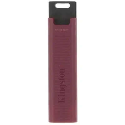 Kingston DTMAXA/256GB Память USB Flash