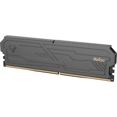 Netac NTSHD4P32SP-08K Оперативная память 4