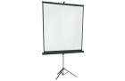 Lumien Master View LMV-100103 Экран на штативе 180x180 см 2