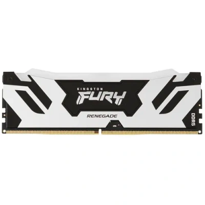 Kingston FURY Renegade Silver RGB KF564C32RSA-24 Модуль памяти