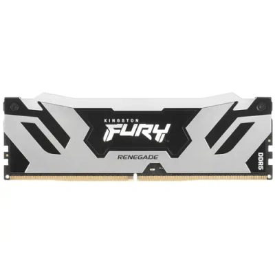 Kingston FURY Renegade Silver RGB KF560C32RSA-16 Оперативная память 1
