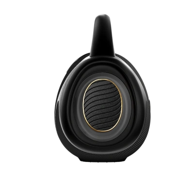 HISENSE VOYAGEBOOM Портативная колонка 6
