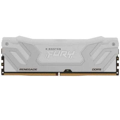 Kingston FURY Renegade White RGB KF588CU42RWA-24 Модуль памяти 1