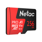 Netac NT02P500PRO-256G-S Карта памяти
