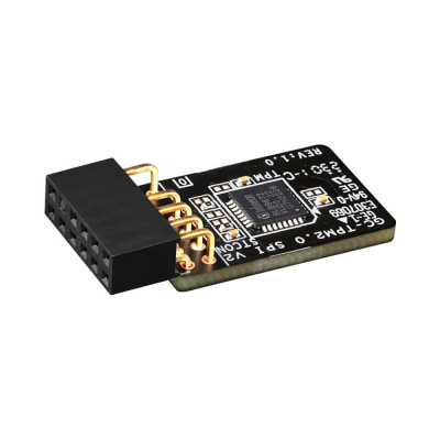 Gigabyte GC-TPM2.0 SPI V2 Модуль 1