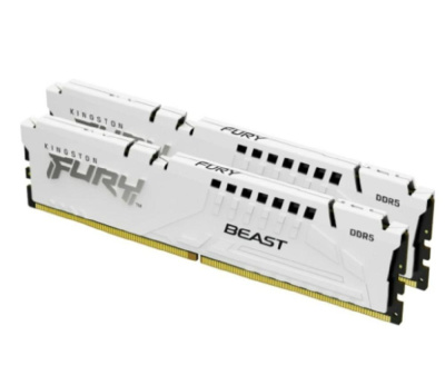 Kingston KF552C36BWEK2-32 Модуль памяти