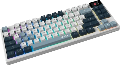 MSI FORGE GK600 TKL W SKY RU Клавиатура 2