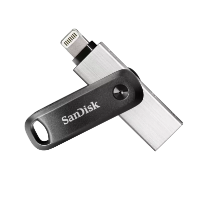 SanDisk iXpand Go SDIX60N-256G-GN6NE Флэш-накопитель 2