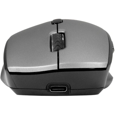 ExeGate Professional Standard BT-070 EX298897RUS Мышь 3