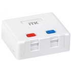 ITK CS2-022 Корпус настенной розетки 2
