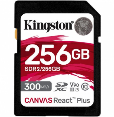 Kingston SDR2/256GB Карта памяти