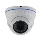 AltCam IDMV24IR Купольная антивандальная IP видеокамера