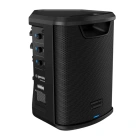Gemini GPSS-650MKII Акустическая система