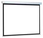 Cactus MotoScreen CS-PSM-152X203 Экран 2