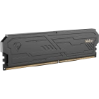 Netac NTSHD4P32SP-08K Оперативная память 4