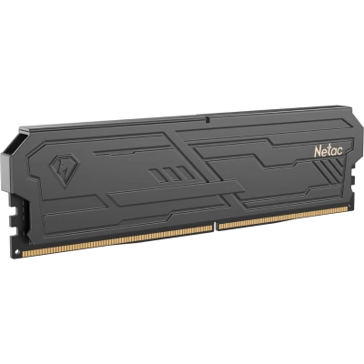 Netac NTSHD4P32SP-08K Оперативная память 3