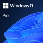 Microsoft Windows 11 Professional 64-bit English Int 1pk DSP OEI DVD FQC-10528 Лицензия
