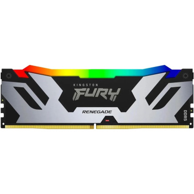 Kingston URY Renegade Silver RGB KF580C38RSA-24 Модуль памяти 1