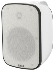 Intrend ITSPK-650WWT-W Акустическая система