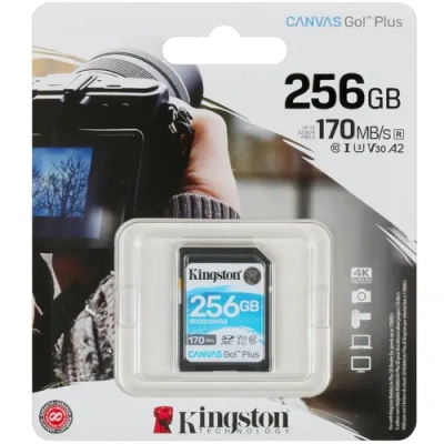 Kingston SDG3/256GB Карта памяти 1