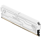 Netac NTSHD4P32SP-08W Оперативная память 4